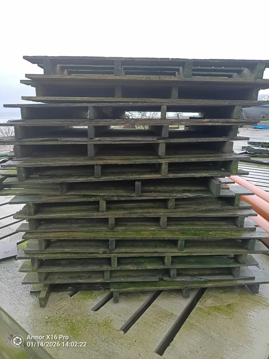 Timber Pallets - Image 3