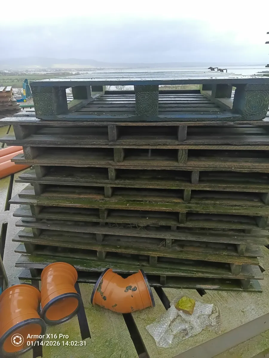 Timber Pallets - Image 2
