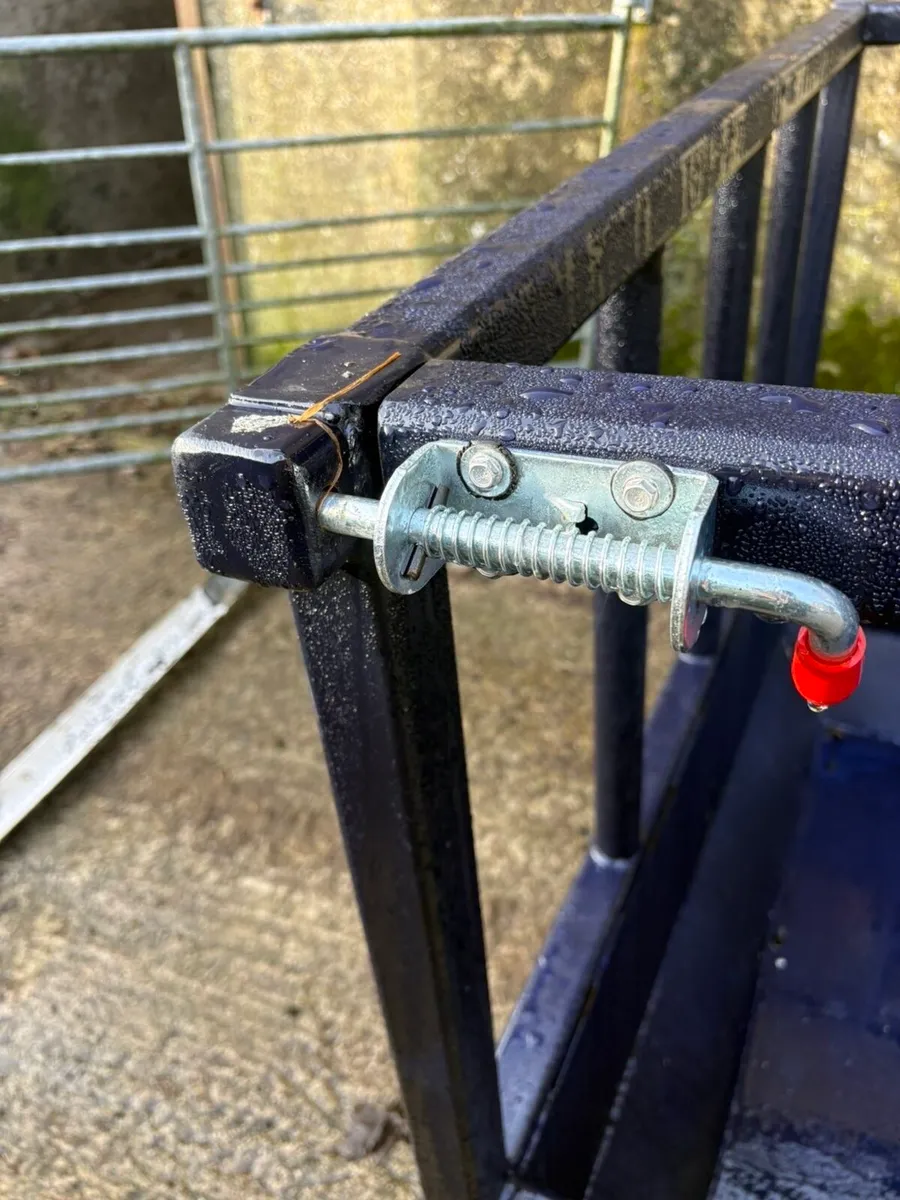 Cattle Feeding Bin - Image 3