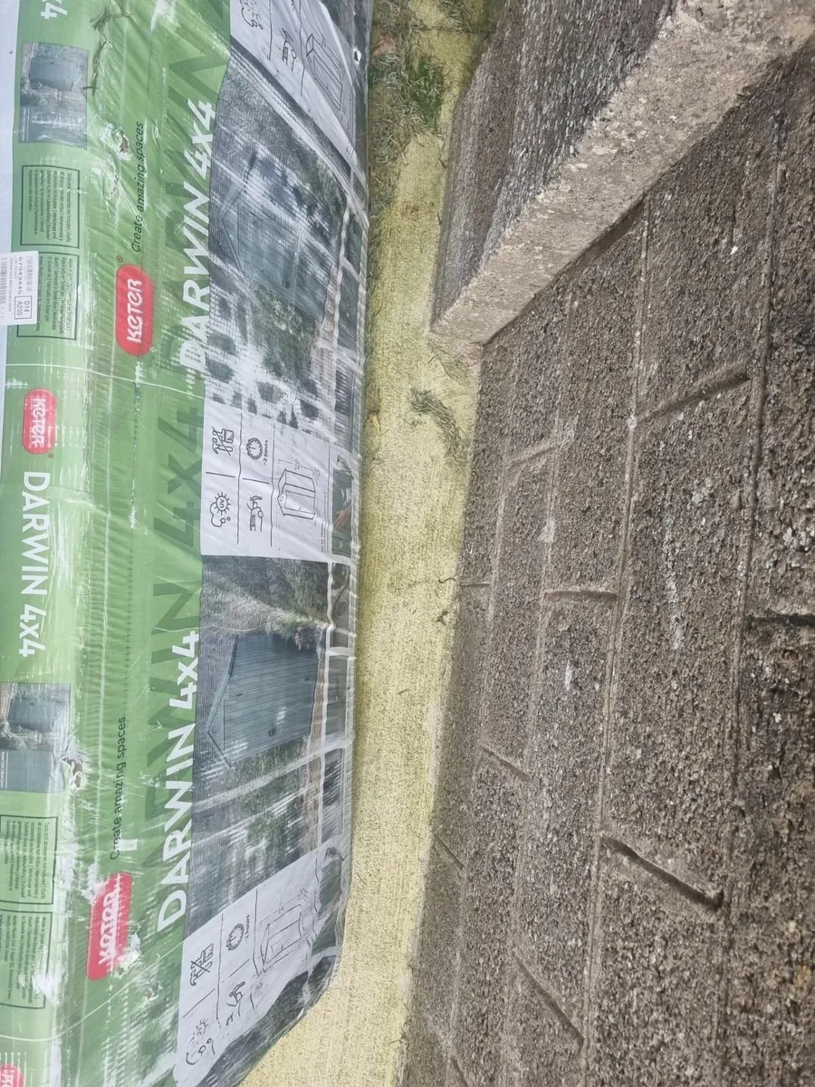 Keter Darwin 6x4 Shed in Grey - Image 3