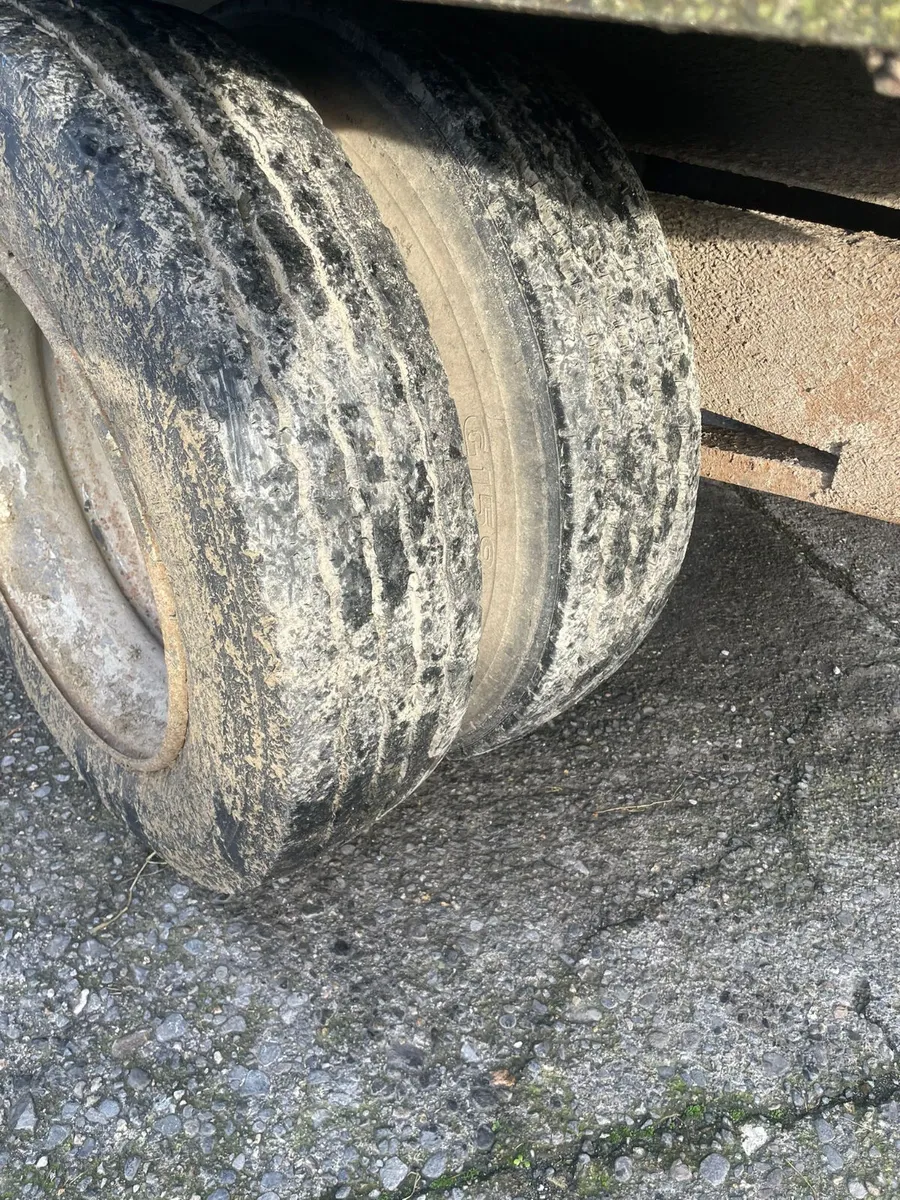 Cattle trailer - Image 4