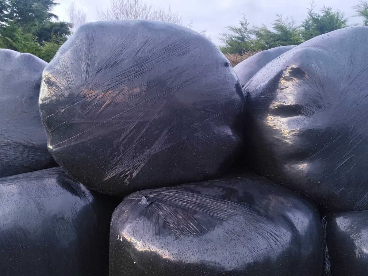 Haylage/Silage - Image 1