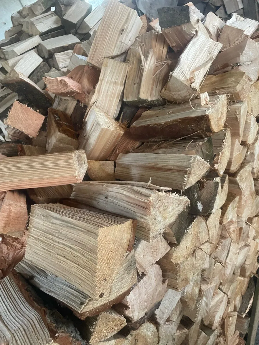 Firewood - Image 4
