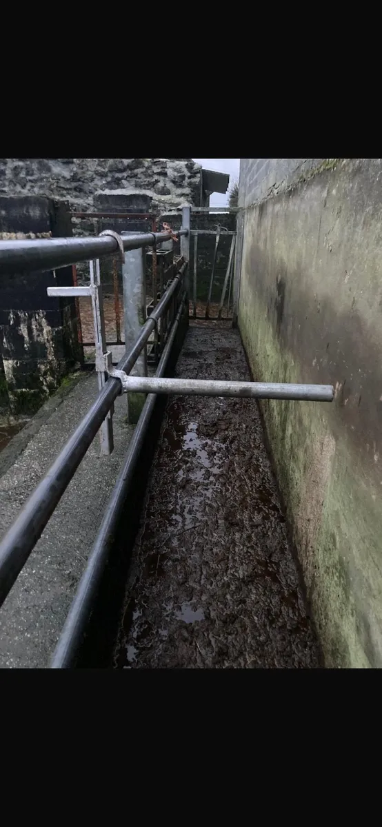 Anti-backing bar/wellingtons/lamb creep feeder - Image 3