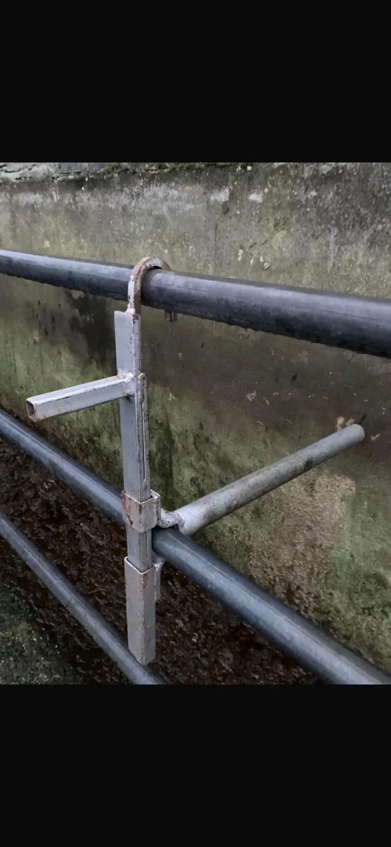 Anti-backing bar/wellingtons/lamb creep feeder - Image 4