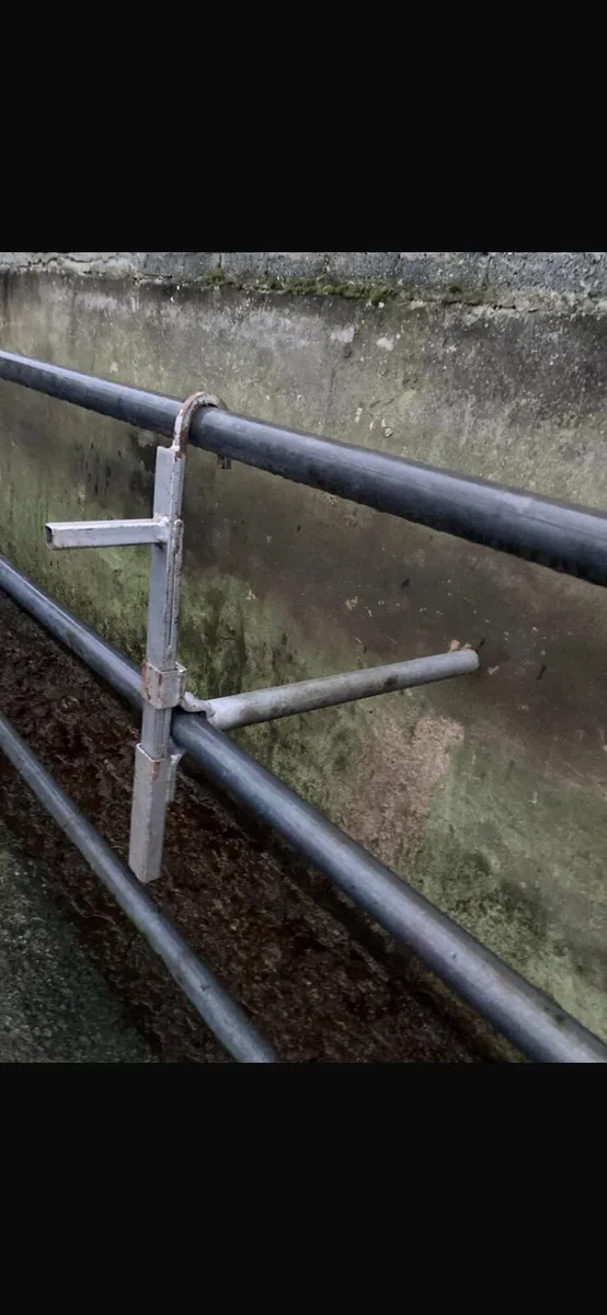 Anti-backing bar/wellingtons/lamb creep feeder - Image 1