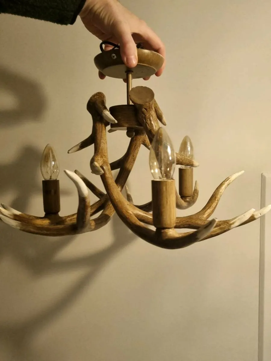 Antler Ceiling Light - Image 3
