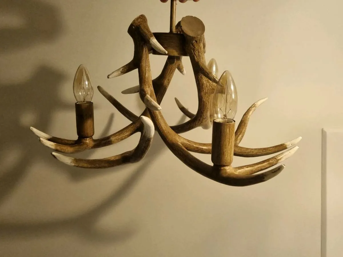Antler Ceiling Light - Image 2