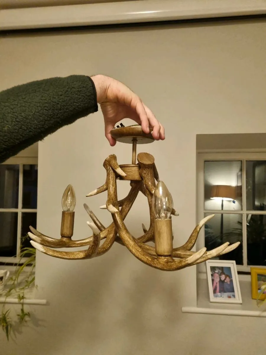 Antler Ceiling Light - Image 4