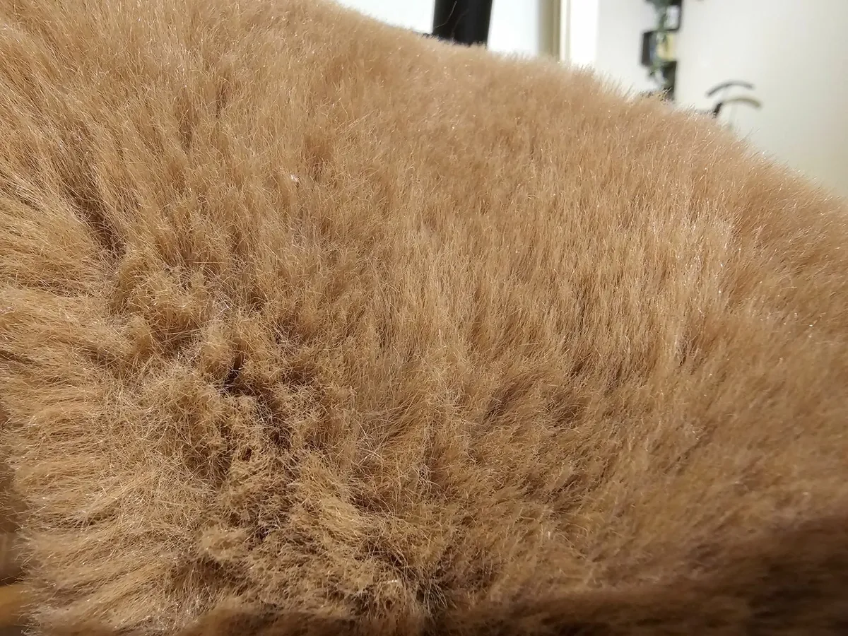 Kids Monsoon coat 9-10 y.o. - Image 2