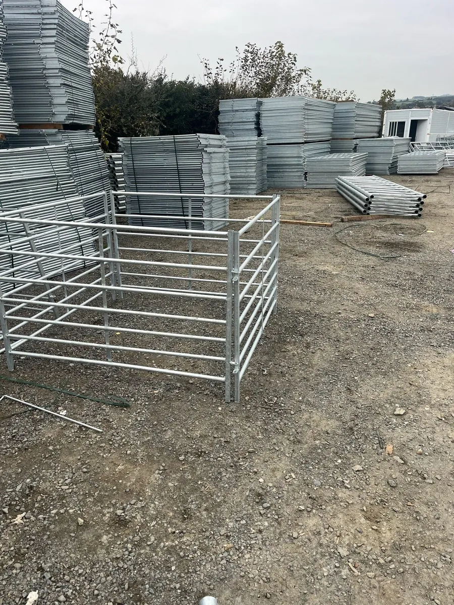 Sheep pins - Image 1