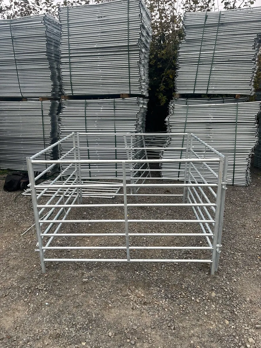 Sheep pins - Image 2