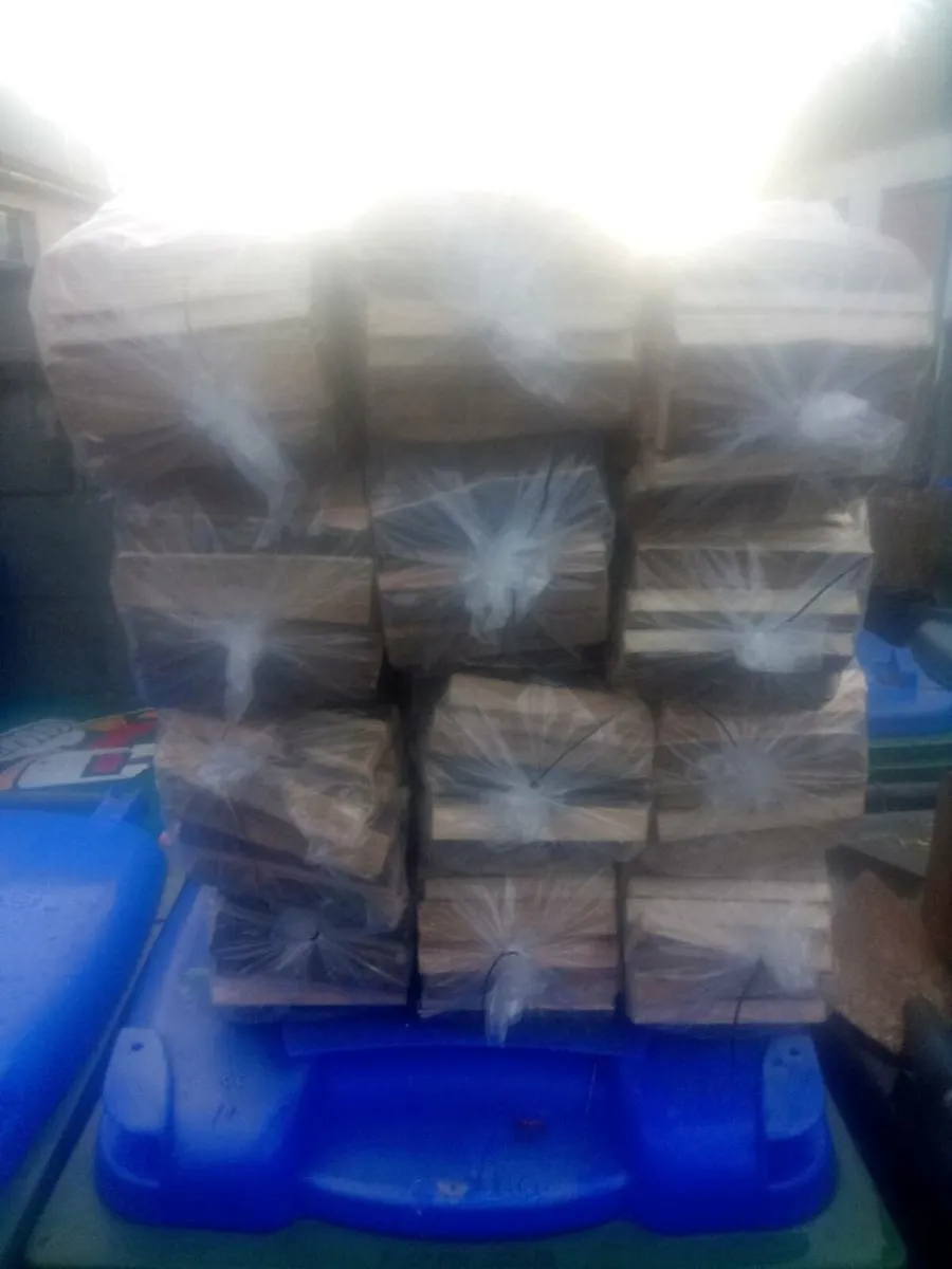 Kindling.   Stick - Image 3