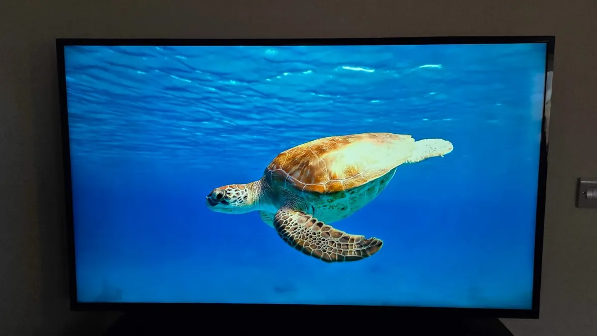 Sony Bravia  50" 4K UHD  LCD Android TV - Image 3