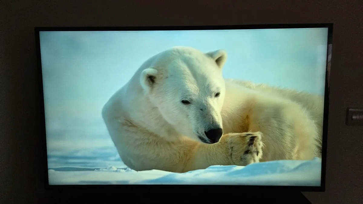 Sony Bravia  50" 4K UHD  LCD Android TV - Image 2