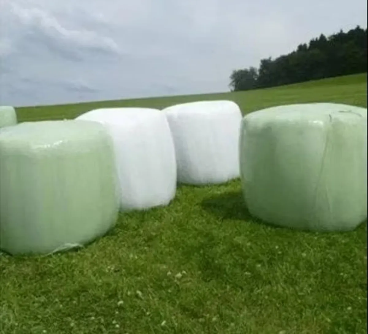 Silage Bales