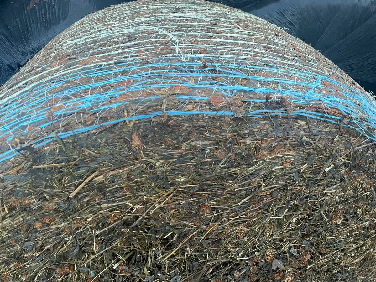 Organic Red Clover Silage & Haylage - Image 2