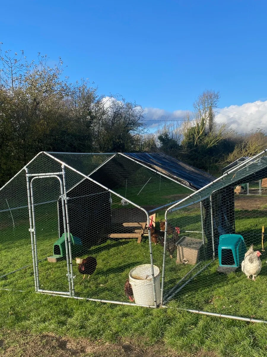 CHICKEN RUNS - Image 1