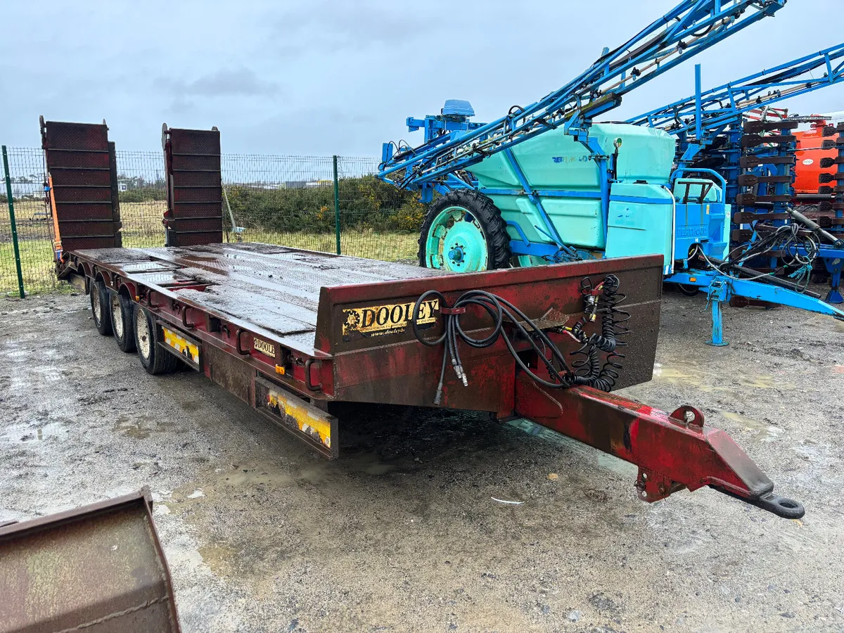 Portlaoise Auction Yard Nearly Full - Image 4