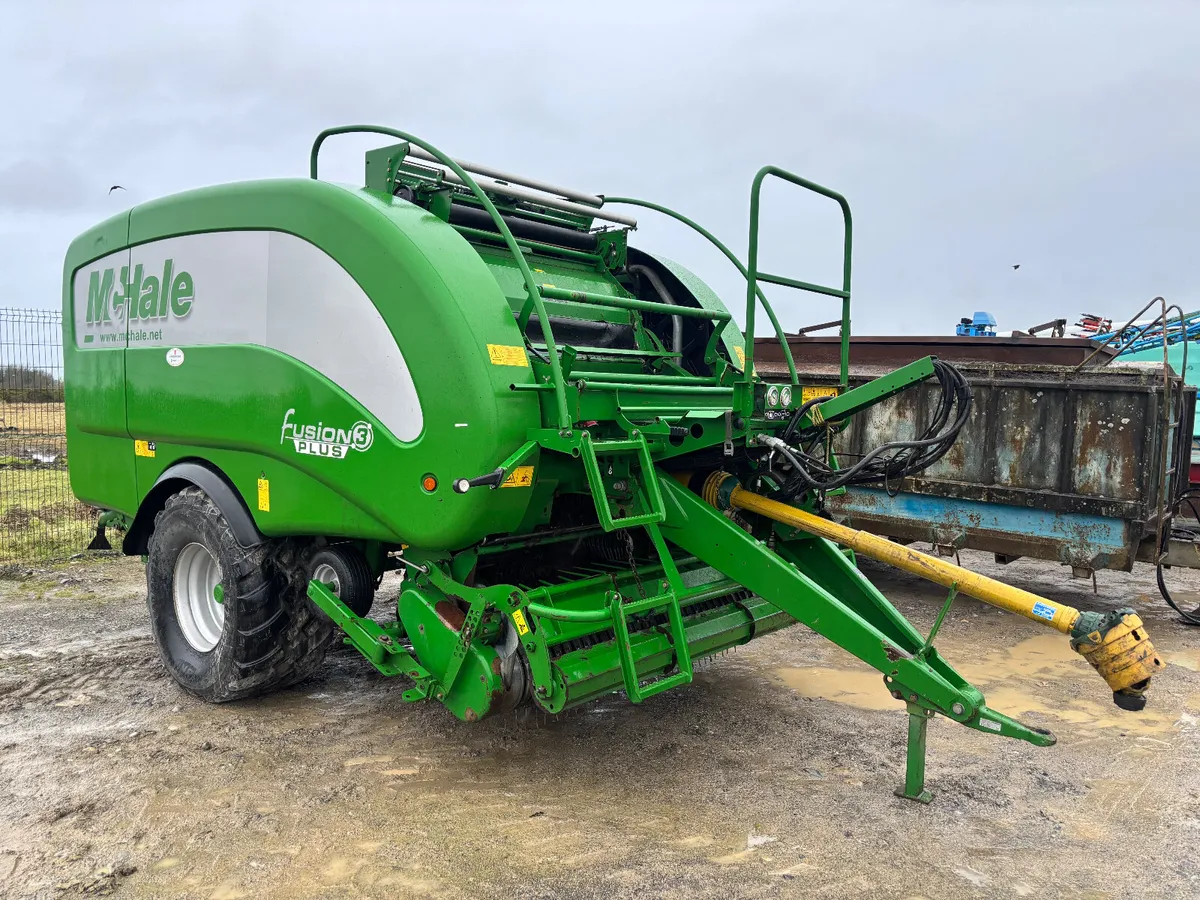 Portlaoise Auction Yard Nearly Full - Image 2