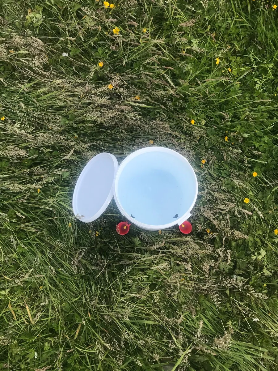 FEEDERS AND DRINKERS - Image 4