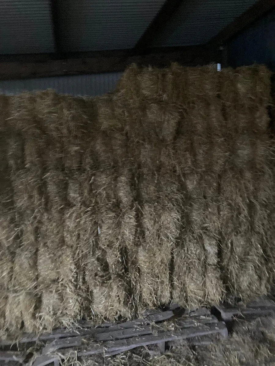 Small square green hay /barley straw - Image 2