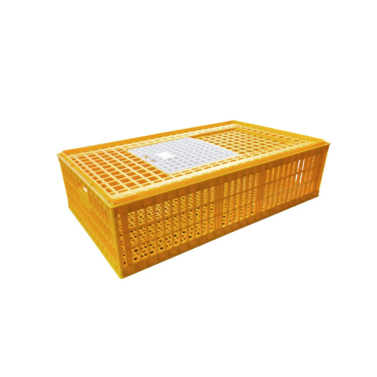 POULTRY CRATES AND SHOW CRATES - Image 1