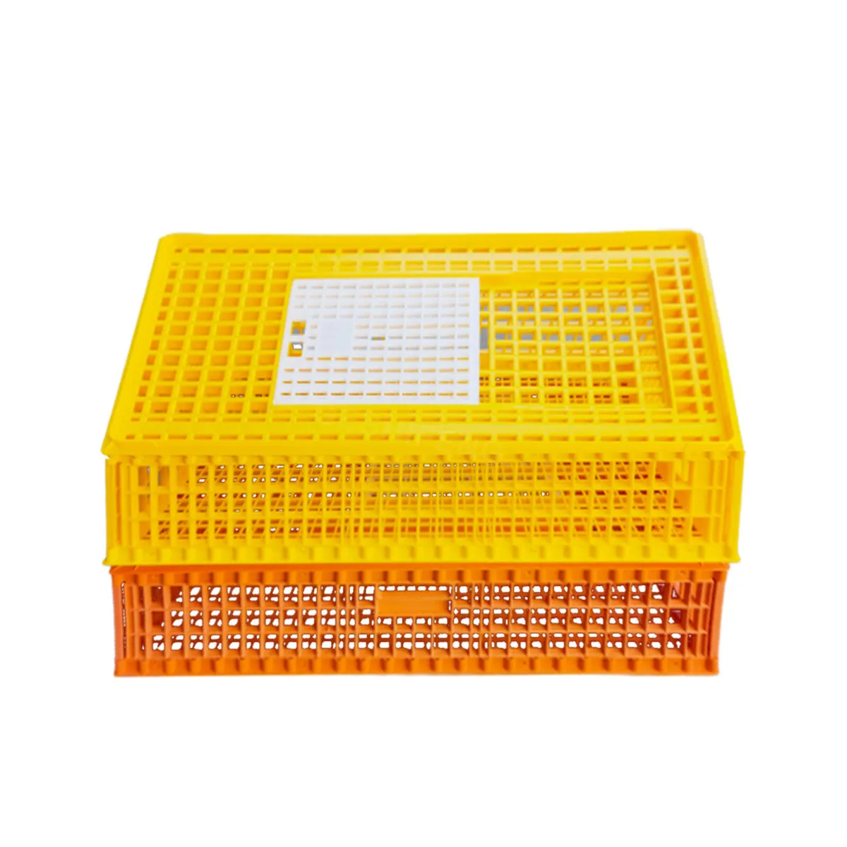 POULTRY CRATES AND SHOW CRATES - Image 4