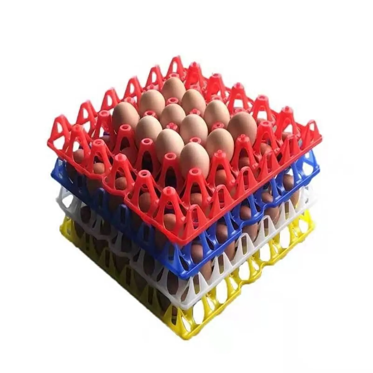 EGG CARTONS AND TRAYS - Image 2