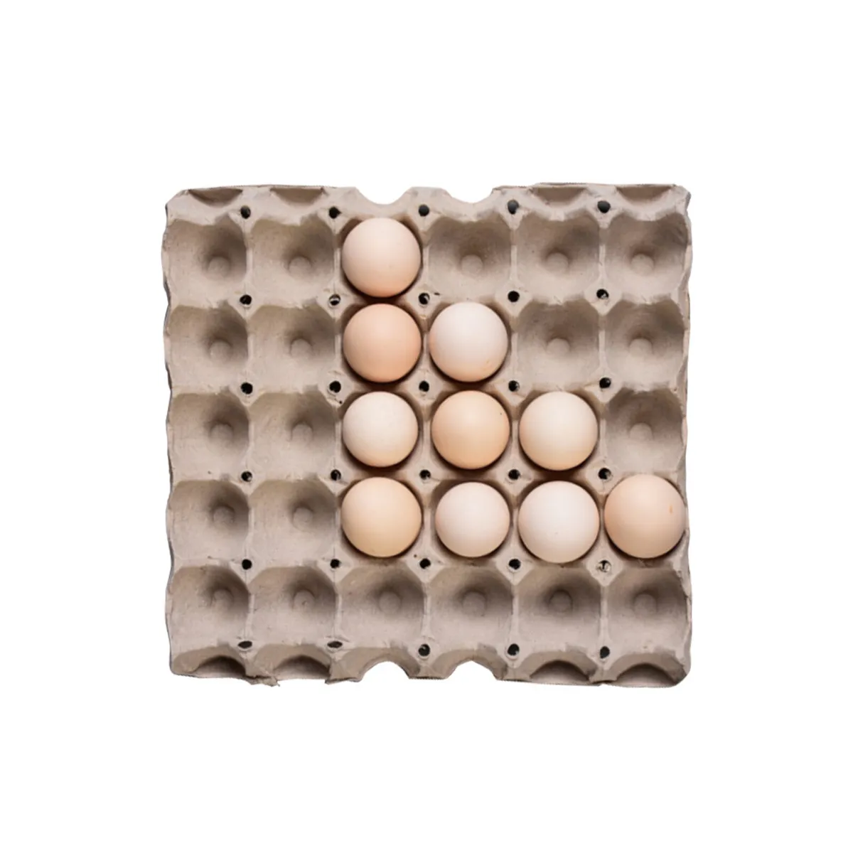 EGG CARTONS AND TRAYS - Image 3