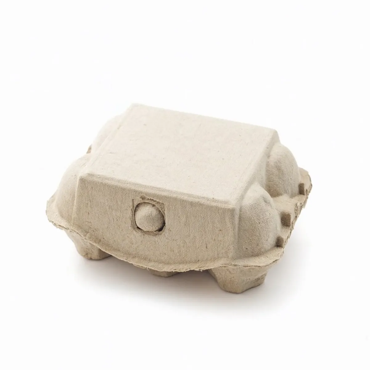 EGG CARTONS AND TRAYS - Image 1