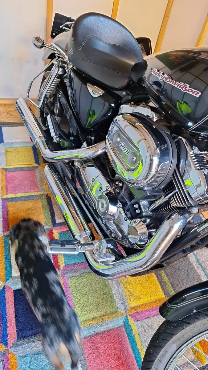 HARLEY DAVIDSON Other 2005 - Image 4