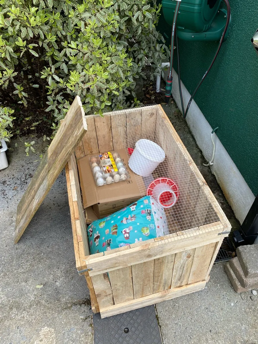 CHICK INCUBATOR PACKS - Image 2