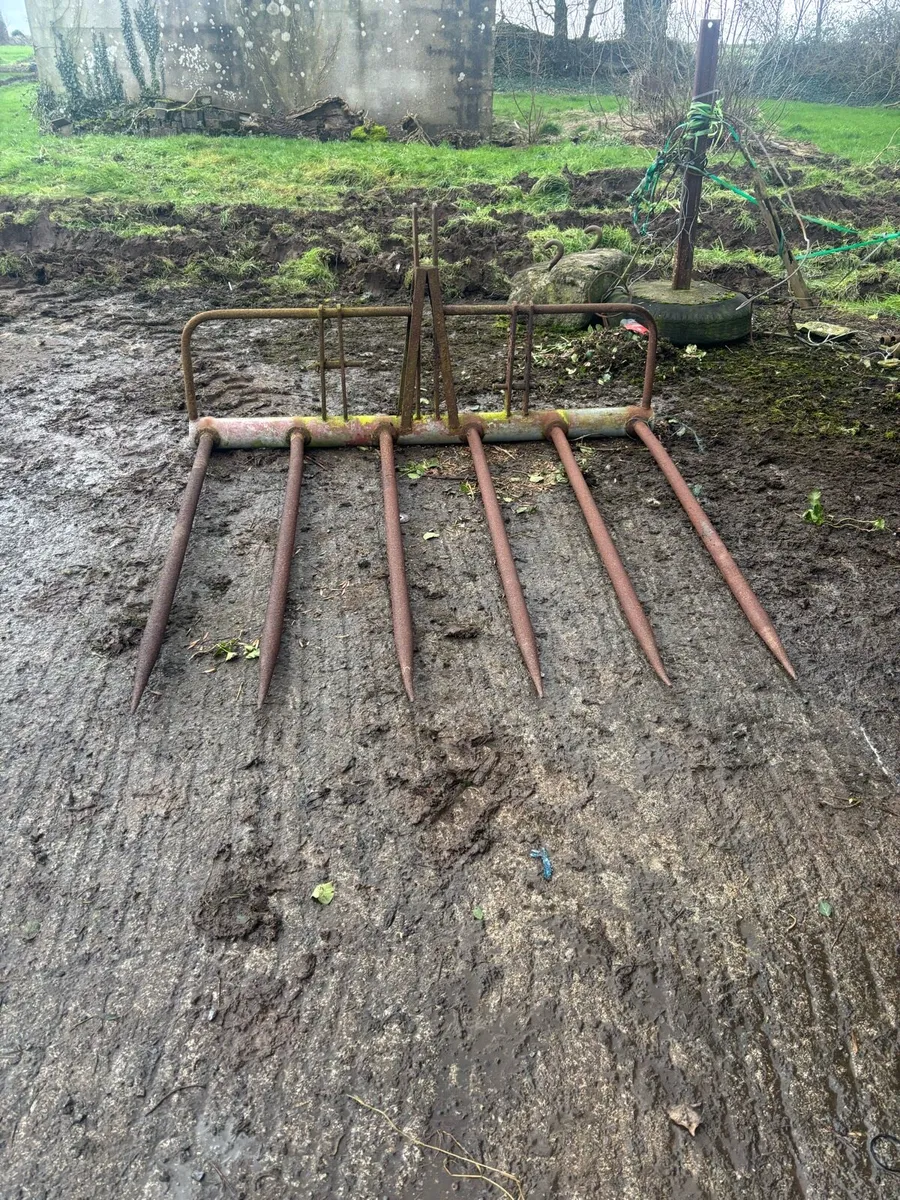 Horse cart & vintage buckrake - Image 4