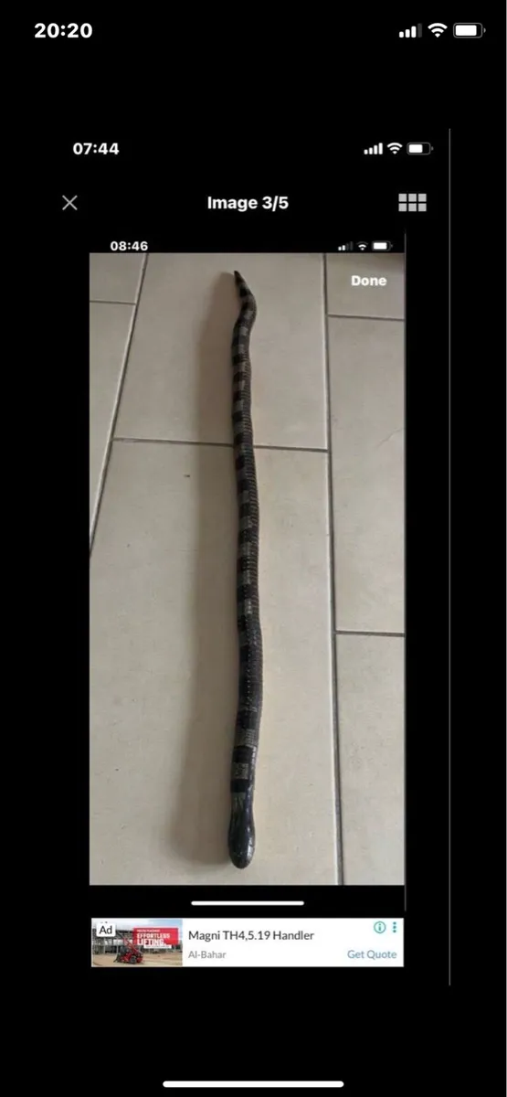 Hand Carved Movement Snake Sculpture - Image 3