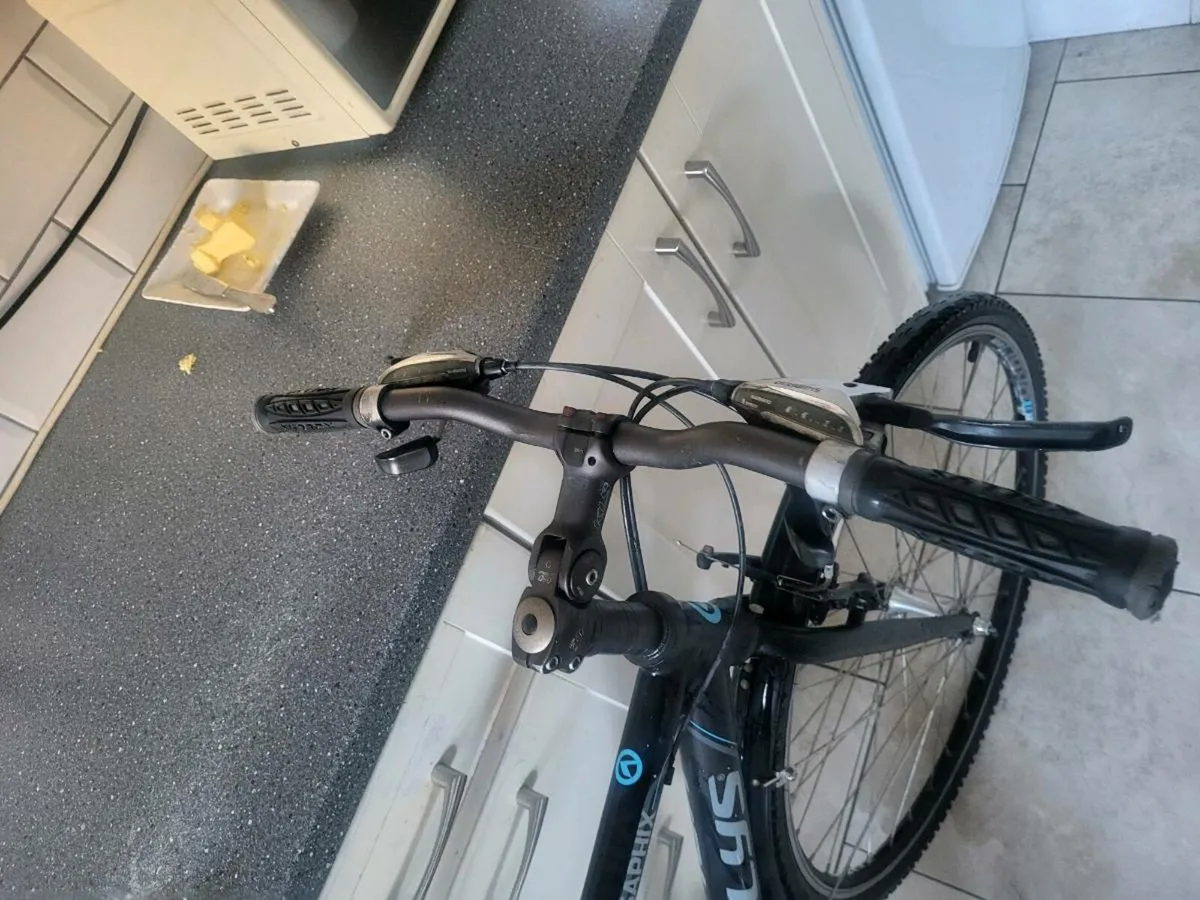Mens bike - Image 3