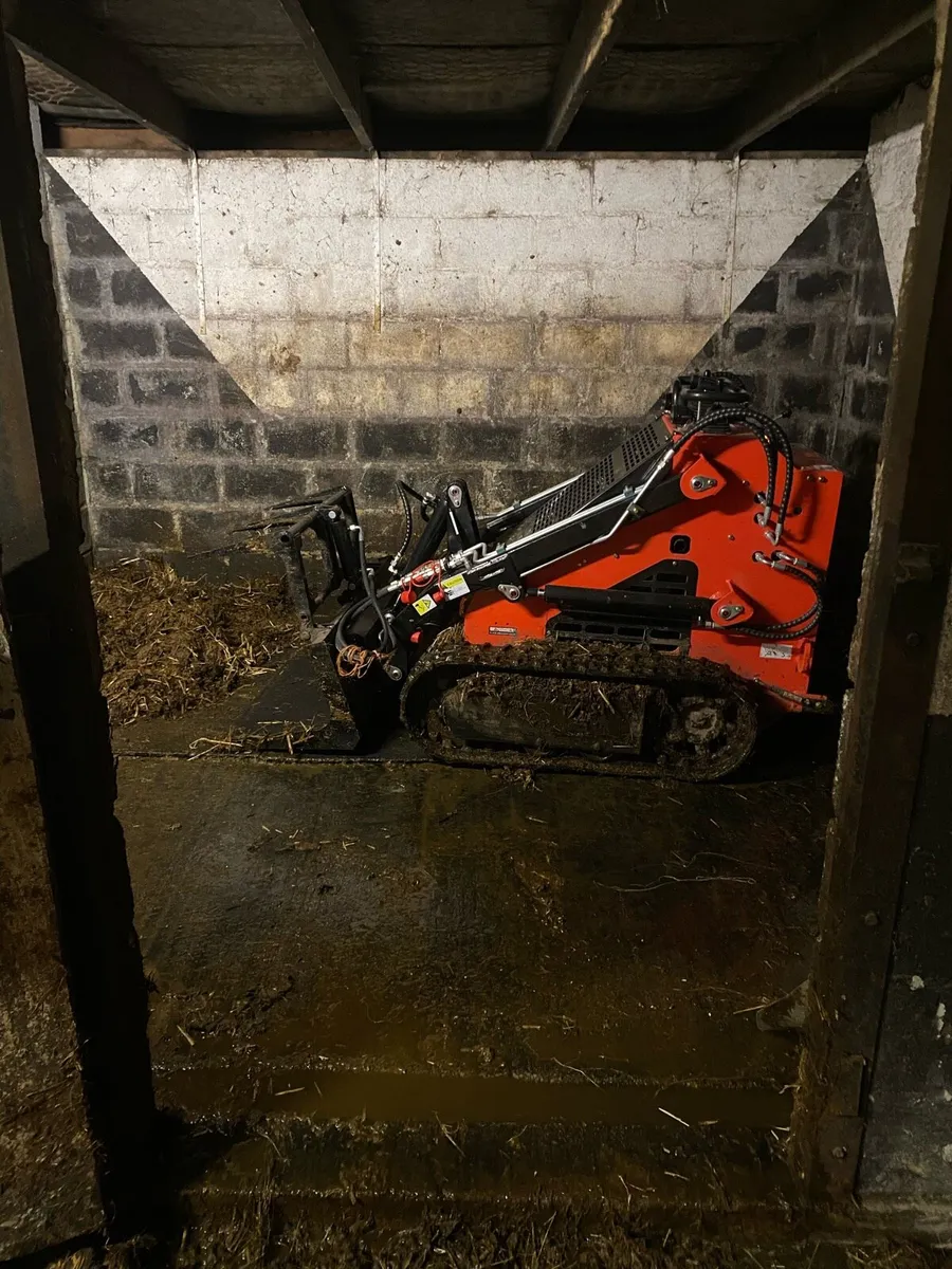 Mini Skid Steer for Hire - Image 3