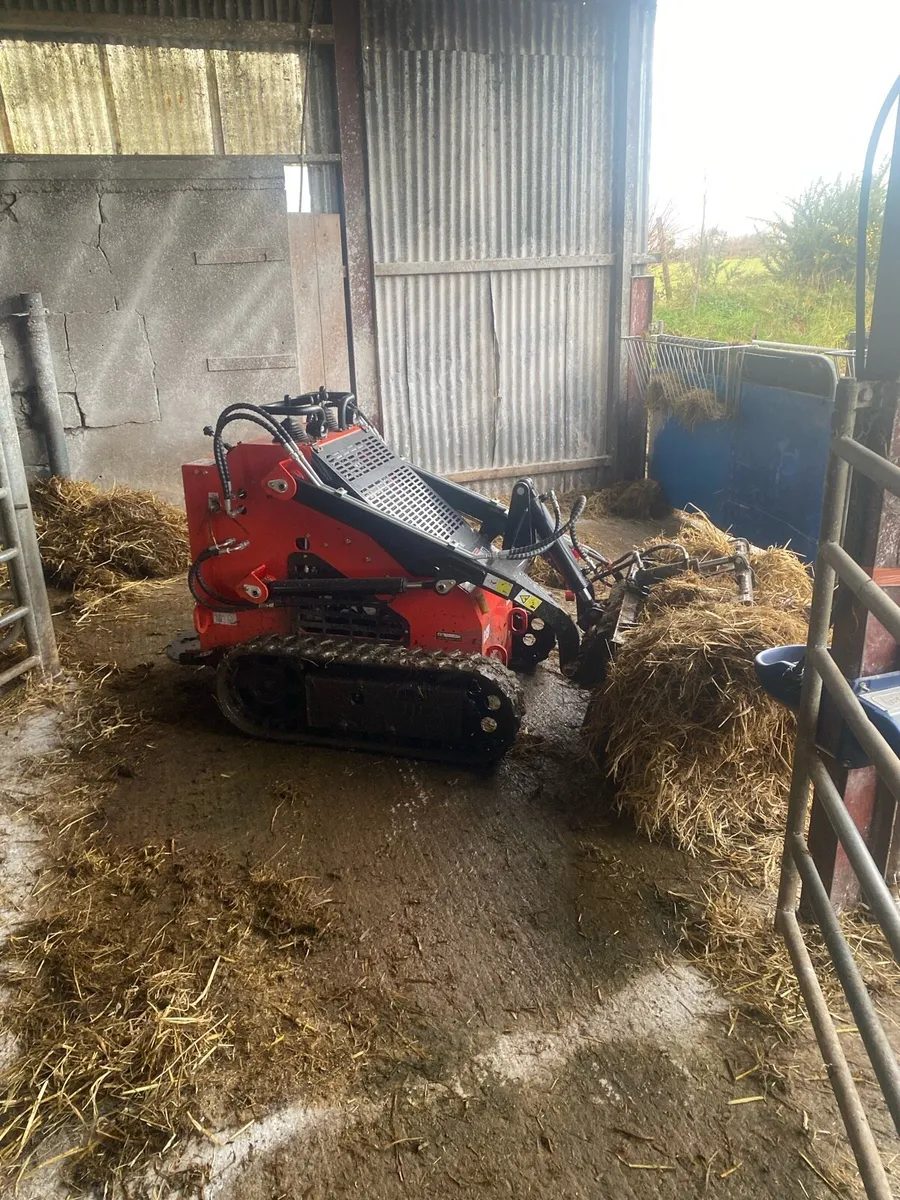 Mini Skid Steer for Hire - Image 1