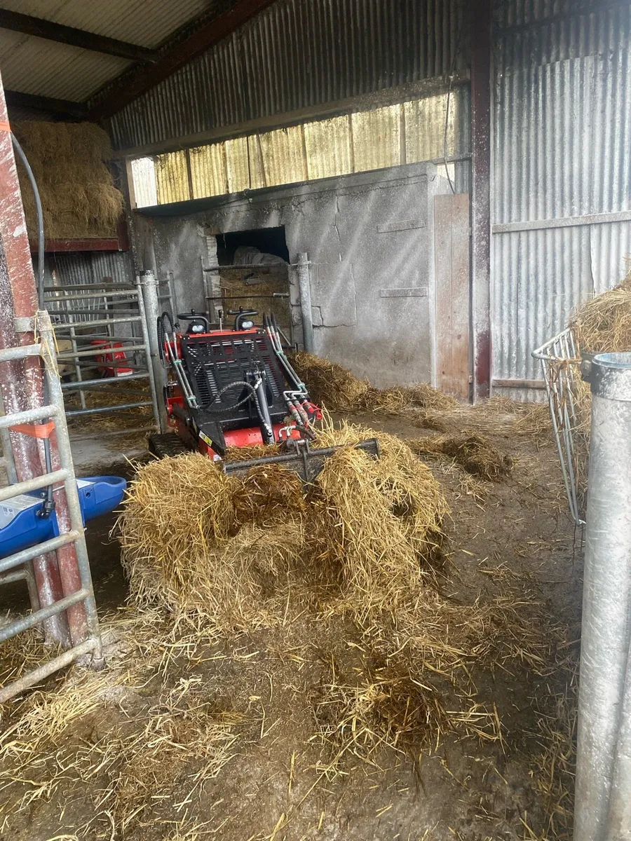 Mini Skid Steer for Hire - Image 2