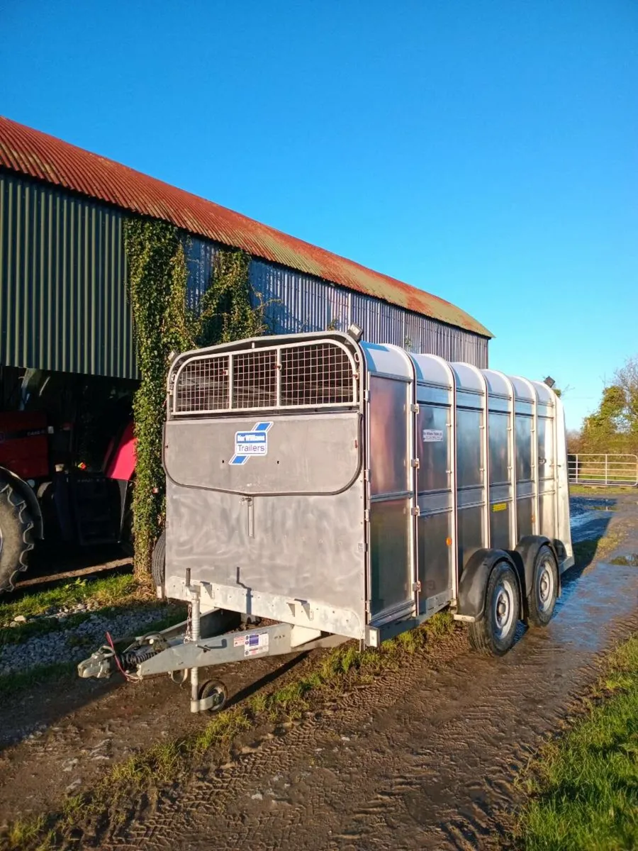 Ifor williams livestock Trailer. Immaculate - Image 3
