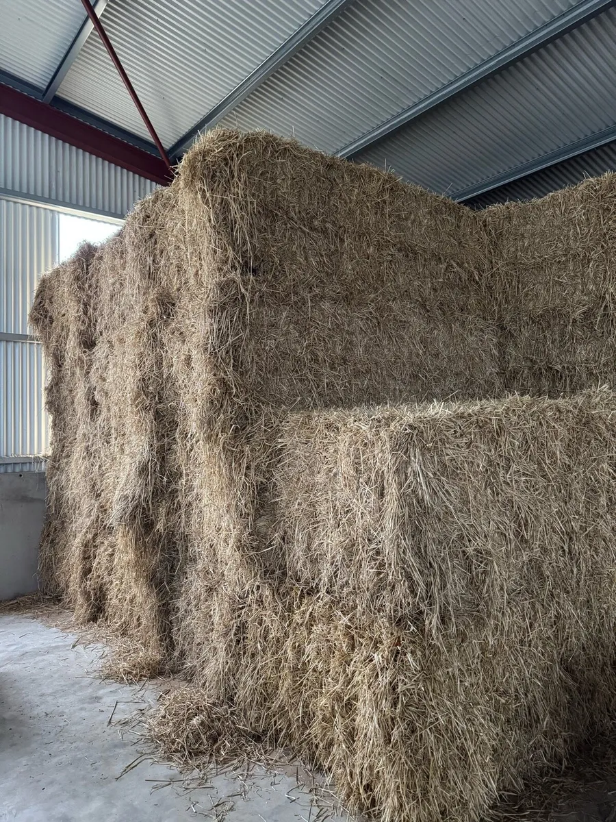 8x4 Chopped Straw Bales - Image 1
