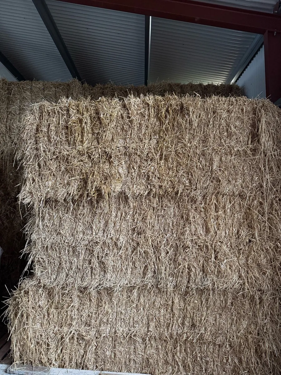 8x4 Chopped Straw Bales - Image 3