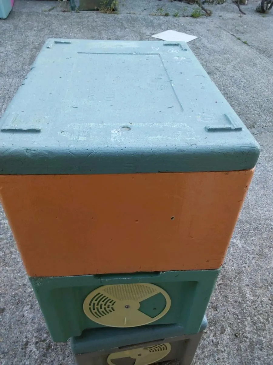 Nuc box's paynes - Image 2