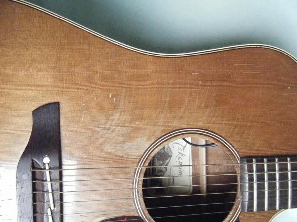 Takamine EAN10c with case - Image 4