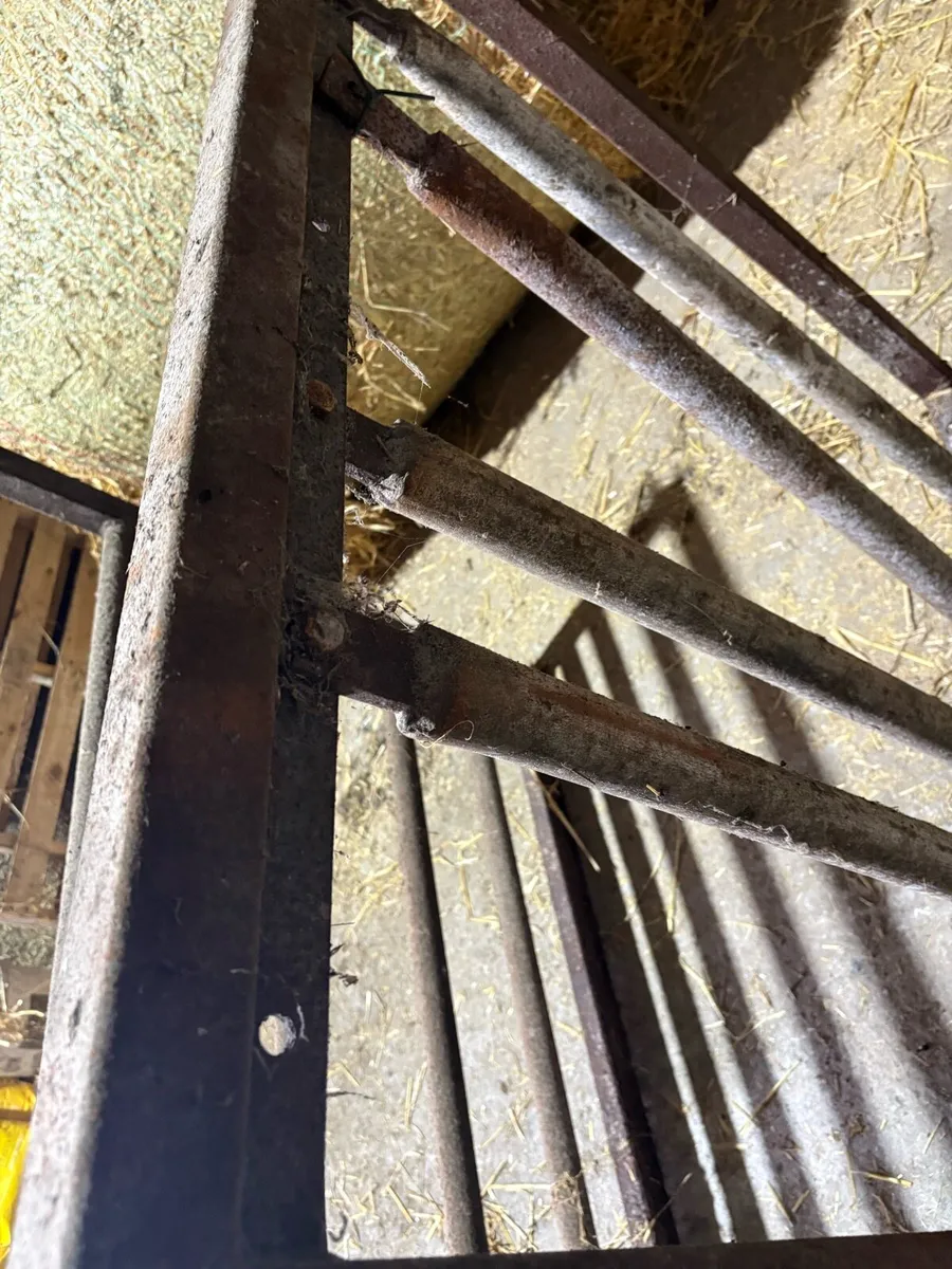 Calf creep gates - Image 4