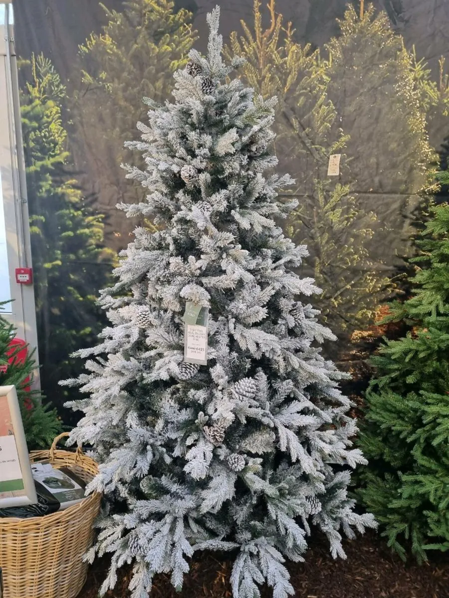 Christmas tree - Image 4