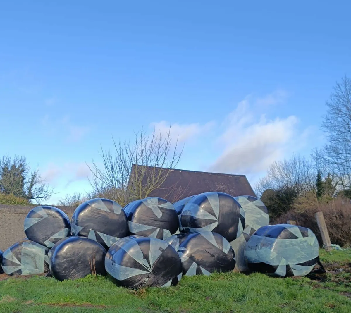 Silage Bales - Image 1