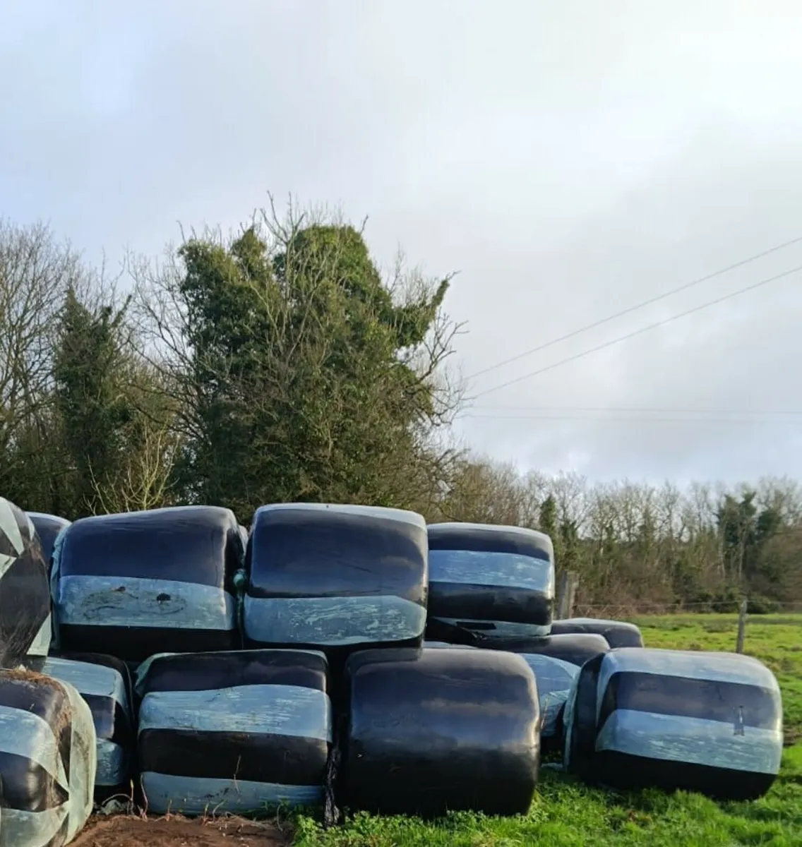 Silage Bales - Image 2