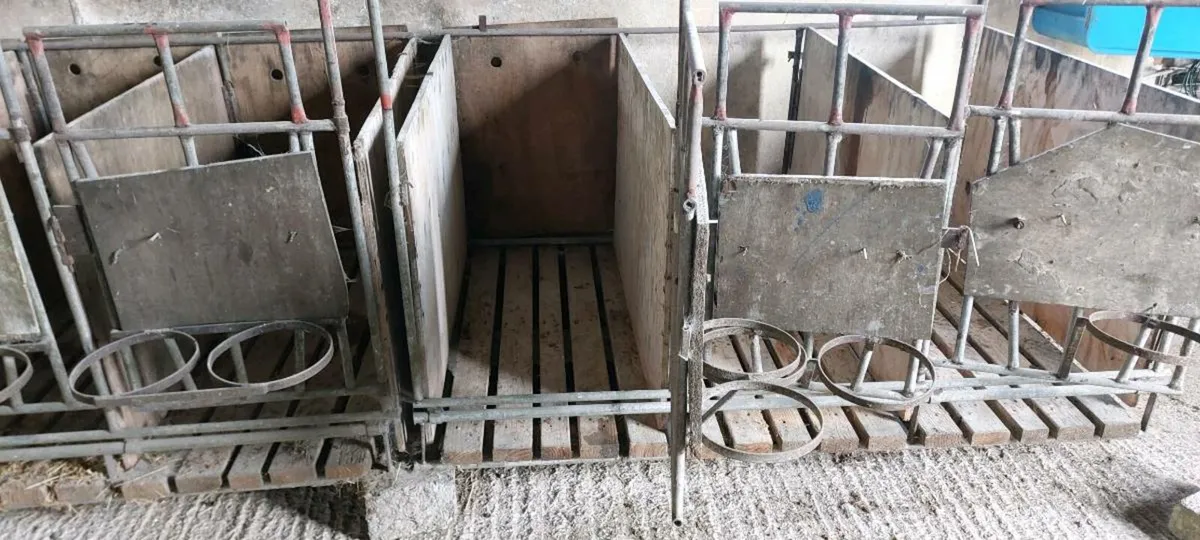Calf pens - Image 1