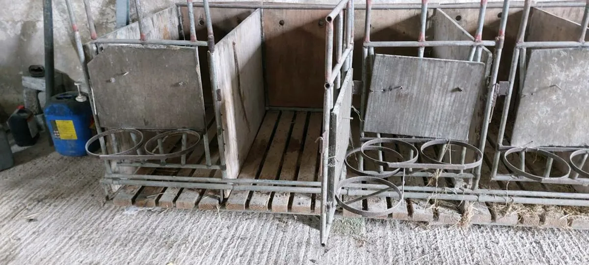 Calf pens - Image 2
